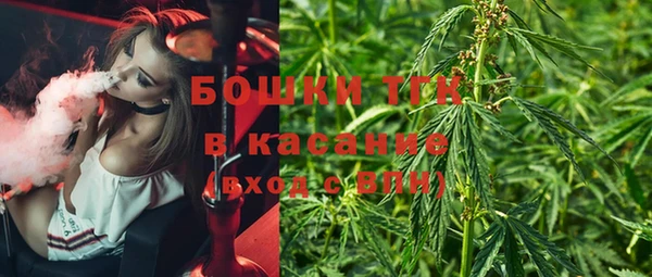 сатива Абинск